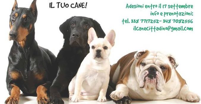 Il cane cittadino: aperitivo cinofilo Il cane cittadino: aperitivo cinofilo